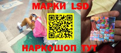 тгк Обь