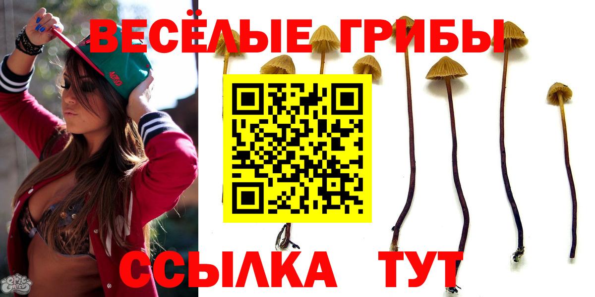 Сыктывкар  Галлюциногенные грибы Magic Shrooms  Вход с VPN 
